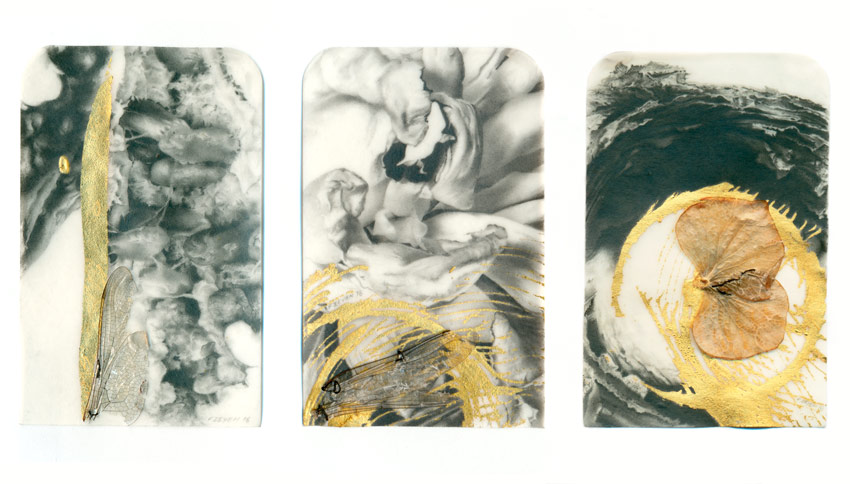     crayon graphite / papier paraffin&eacute; / feuille d&#039;or / ailes / p&eacute;tales - 9,2 x 6 cm