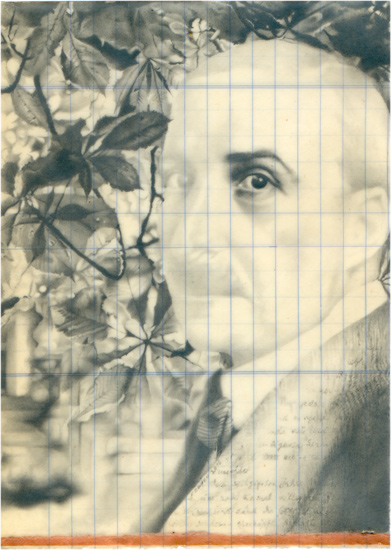     crayon graphite / papier paraffin&eacute; - 19,2 x 13,7 cm