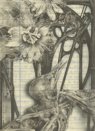     crayon graphite / papier paraffin&eacute; - 19,2 x 13,7 cm
