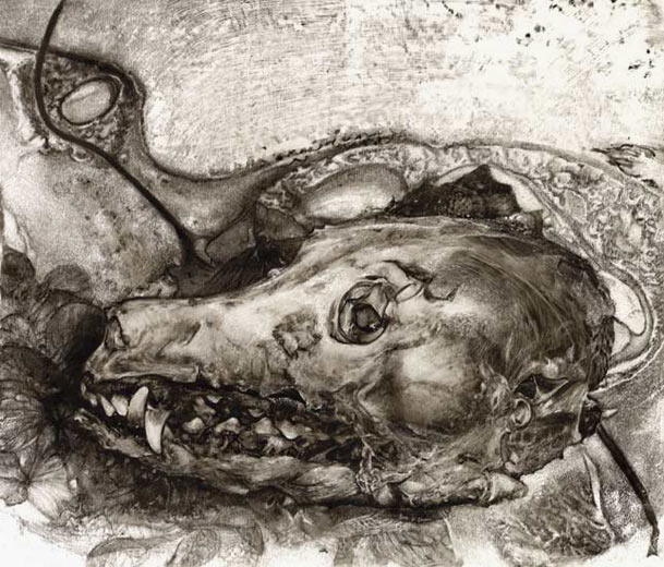     encre sur rhodo&iuml;d - 29 x 33 cm